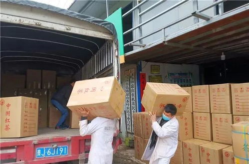 西部农产品 春茶破局,脱贫在望 一季度贵州省春茶生产实现开门红